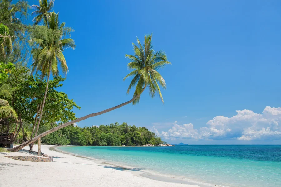How To Make Your Travel In Bintan Satisfactory? How To Make Your Travel In Bintan Satisfactory